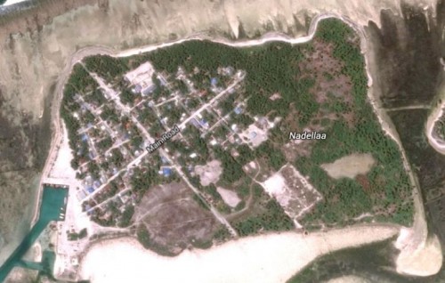 Gdh. Nadella home quarantine gai huri meehaku Covid ah positive vehjje