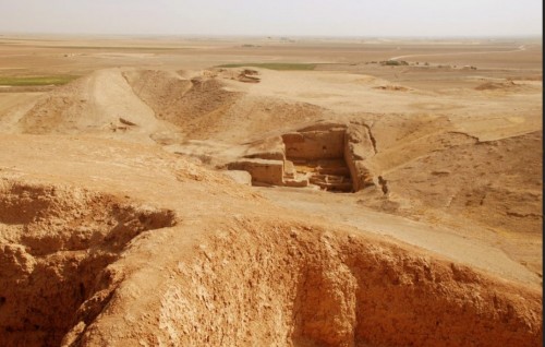 Syria in fenunu 8000 aharuvee shaharuge hageegaiy adhives hoadhanee