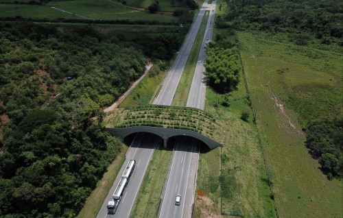 Brazil gai raamaamakunuthakah haassa bridge eh