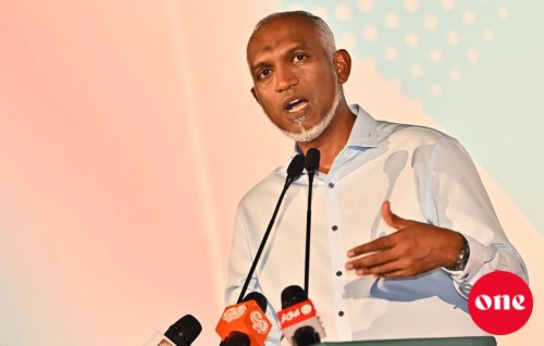 Alhugandah muhinmee natheejaa neredhinun, rayyithunnah othee e natheejaa nerumah faahagaeh jahaalun: Raees