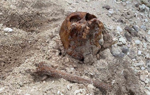 Human bones discovered on Kandoodhoo beach