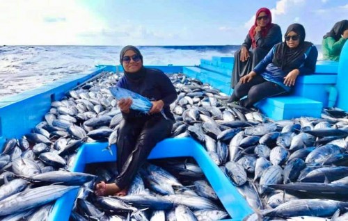 kanbalun maskandah nukume ethah tone ehgge mas baanai mahaa eku aslu size dhakkaalaifi