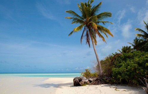 BREAKING: Maruvefai oiy meehehge hashigandu falhu rashakun fenijje