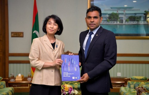 Vice President updates UNDP Representative on the chemical fire