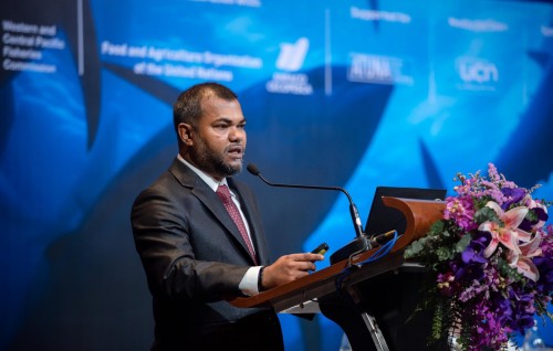 STELCO ge MD kamun vaki kuri Shamaah ge massala eh ACC in balanee