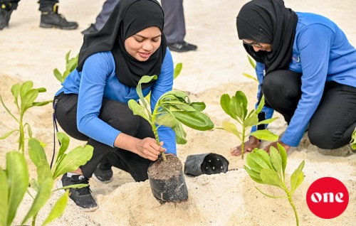Raees ge 5 million gus indhumuge programme gai STELCO in baiverivanee