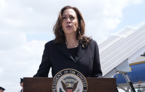 Kamala Harris secures Democratic presidential nomination