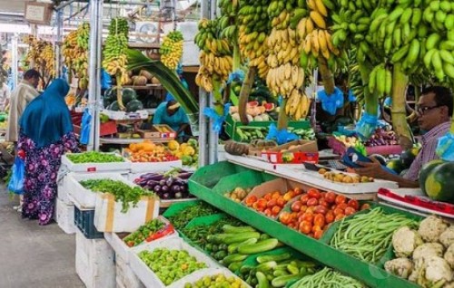 STO prepares to buy produce from farmers