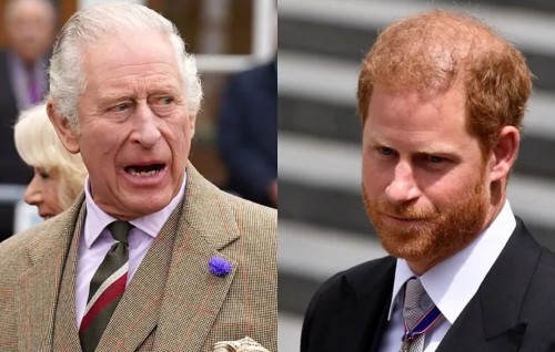 Camilla ah faaduvidhaalhuvangyaa Prince Harry ah adhabu dhehvvan rasgefaanu ninmavaifi