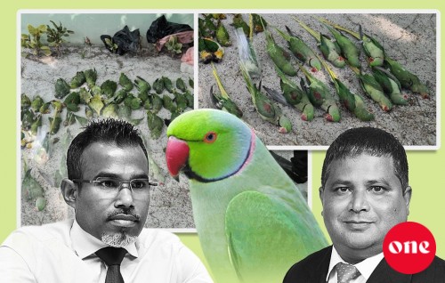 Dhirihuri furaanathakeh aniyaaverikoh maraalun, dhe vazeerunnaa hamain nimeybaa? hahllakee kobaa?