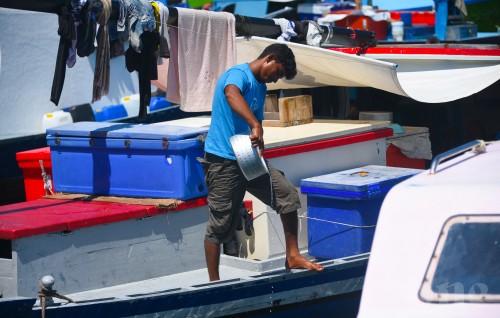 Boat gai thibi meehunge haalu dheravee dhumuge asaru kurumuge sababun
