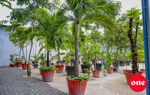 Male' City Council  in hudha nunagaa viyafaarikuraathee 10,000 rufiyaa in joorimanaa koffi