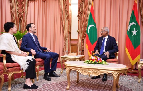 Ambassadors to three countries present credentials to President