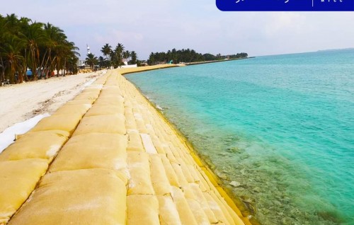 Dhihdhoo go'ndudhoh himaaayai kurumuge mashroou ninmaalaifi
