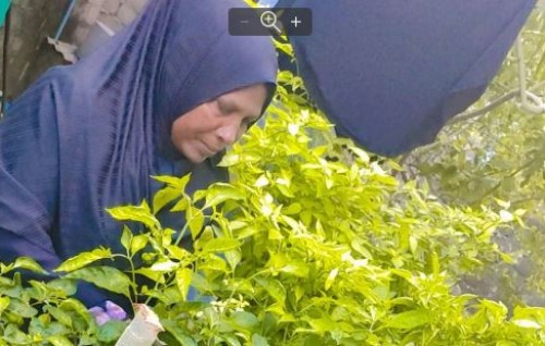 Kudafaree Salma: Konme rashakahvves beynunvanee mikahala Salma eh