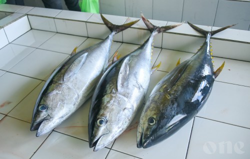 Fish price unchanged because global market prices haven't changed: MIFCO