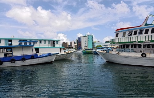 Rashah thiya dhanee Covid hifaigentha?