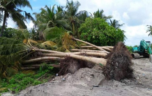 MVR 275,000 fine imposed for illegal removal of vegetation from L. Mendhoo