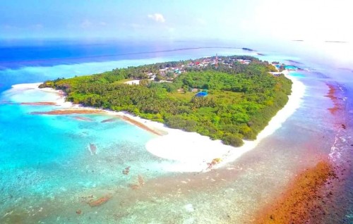 BREAKING: HDh. Naavaidhoo home qurantine gai huri umurun dhuvasvee meehaku Covidah positive vehjje