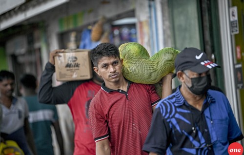 Rajjey ge igthisaadhu kuriaraane kamah lafaakuri minvaru 3.4 percent dhashah!