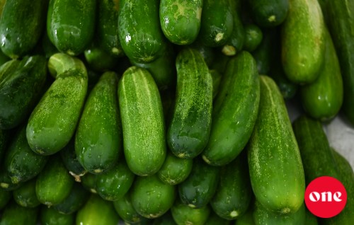 Roadha 6 baazaaruge aguthah: Cucumber kilo eh 50 rufiyaa ah araifi
