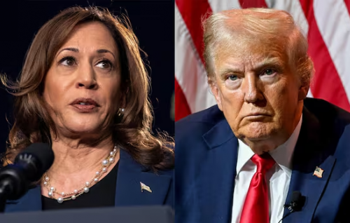 Trump questions whether Harris is 'black' at conference of black journalists