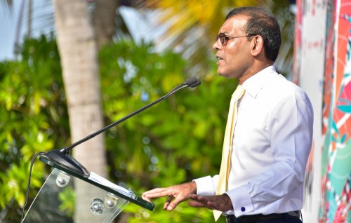 President Nasheed forms environmental organization