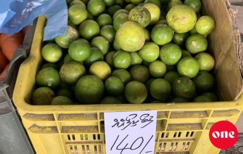 Roadha ah 3 dhuvas: Lunboo kg ehgge agu 100 inn mahcchha, Dhivehi miruss 500 inn mahcchah!