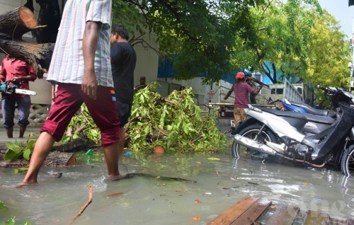 Winds expected between 50-55 mph, alert issued expecting rough seas