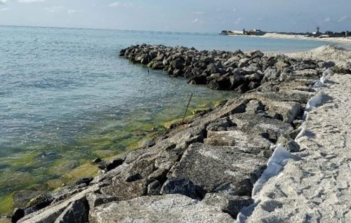 Maafushi bin hihkumaai gondudhoh himaayai kurumuge mashroouge 78 percent massaikai nimijje