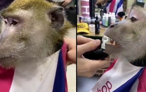 Isthashithah Trim kohllan Raamaa makuneh Saloon akah hingahjje